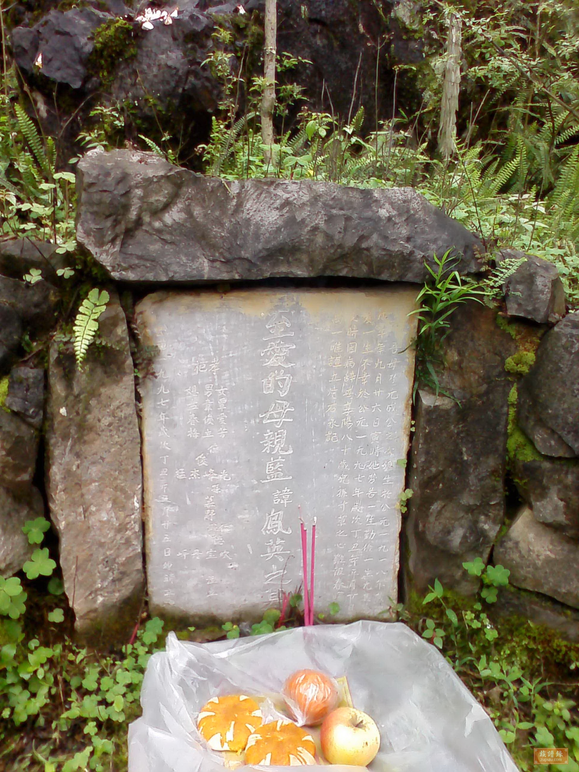 广西都安县九渡拉供韦氏