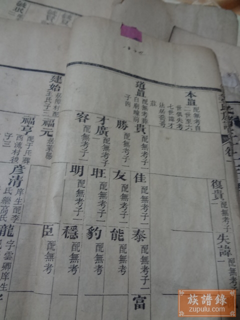 莱阳姜氏族谱