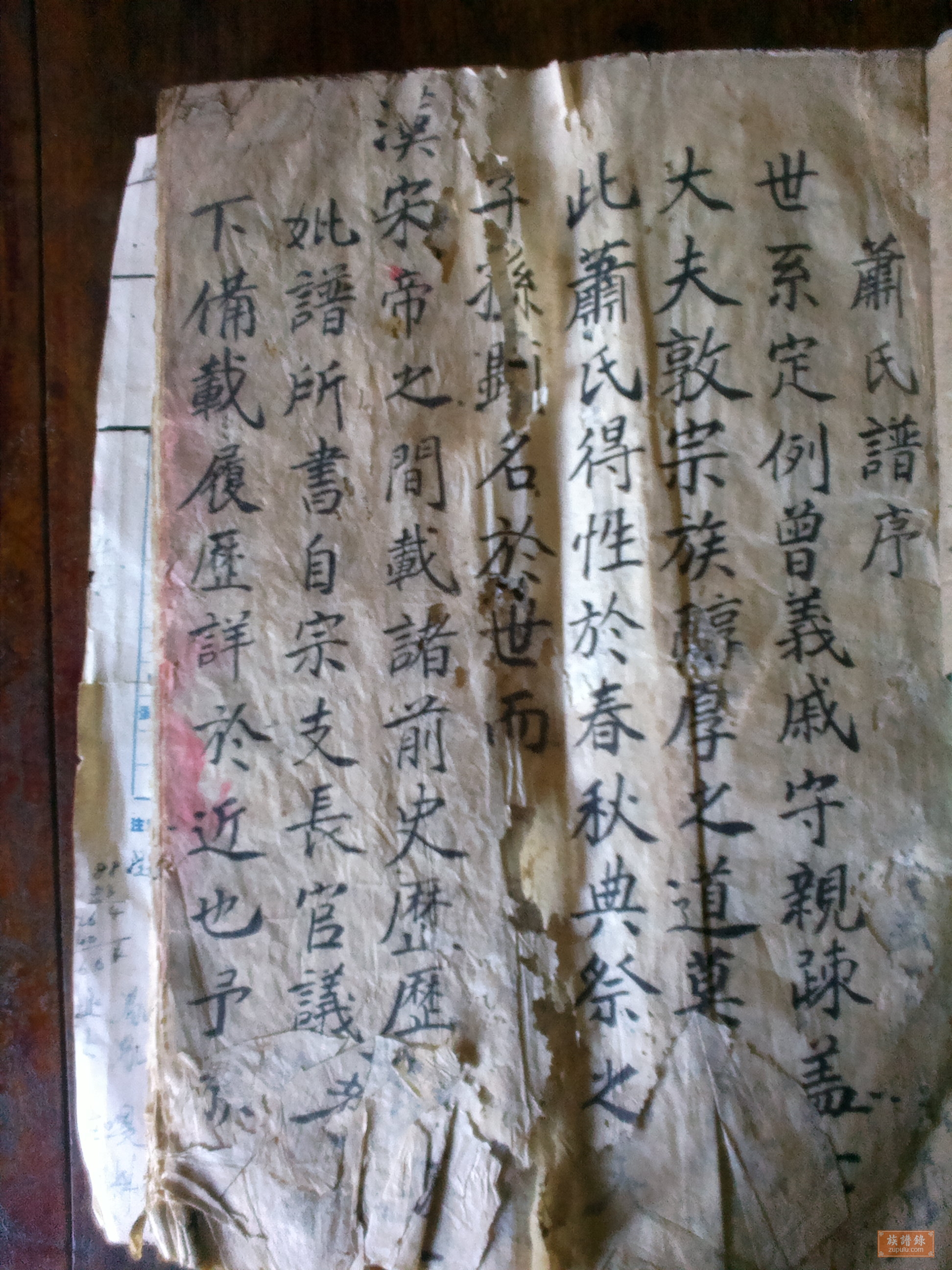 宜宾肖氏家谱