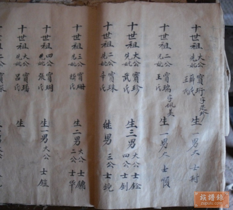 邳州沈氏族谱