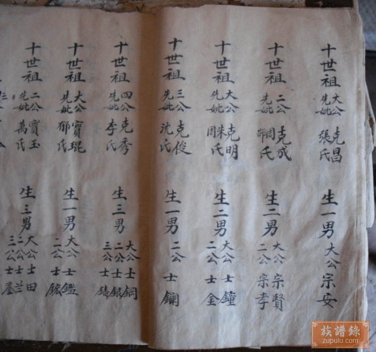 邳州沈氏族谱