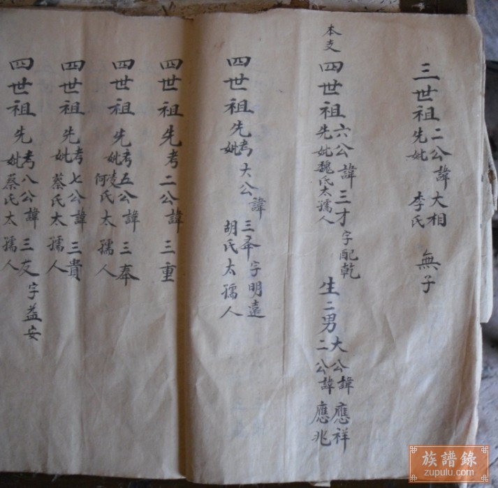 邳州沈氏族谱