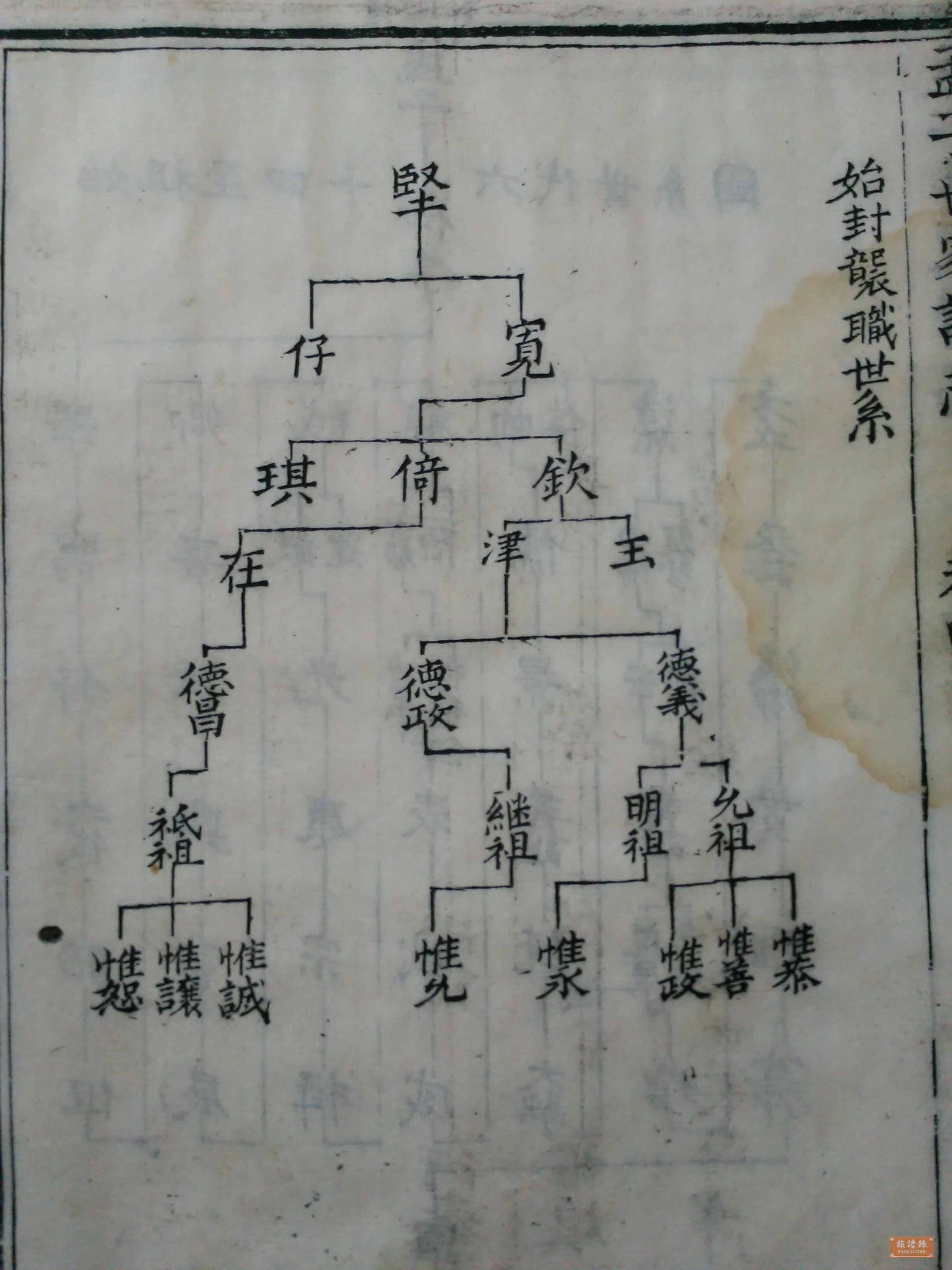 鹿亳世系孟氏族谱