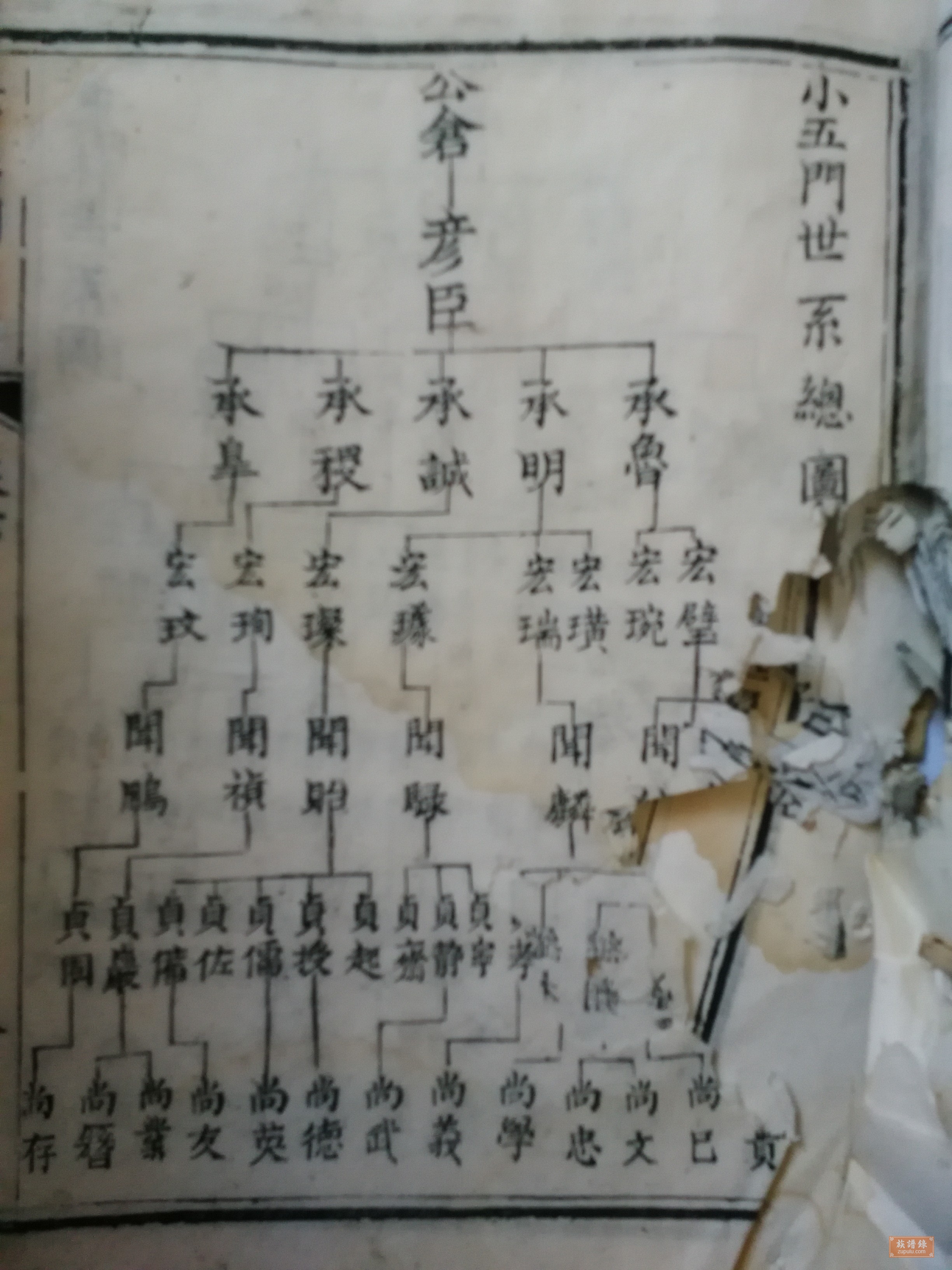 鹿亳世系孟氏族谱