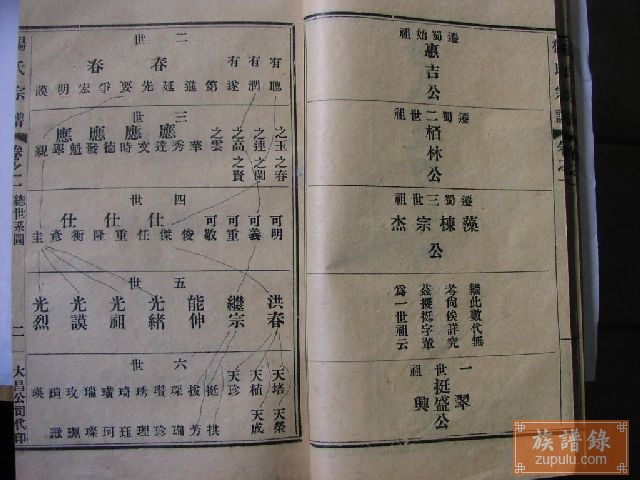 简阳普安杨氏宗谱